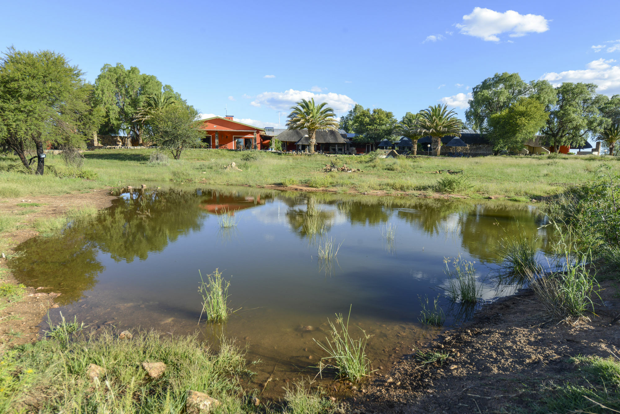 Auas Safari Lodge Falena 外观 照片